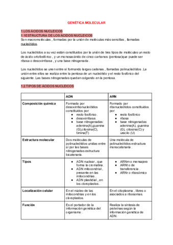 GENETICA-MOLECULAR.pdf