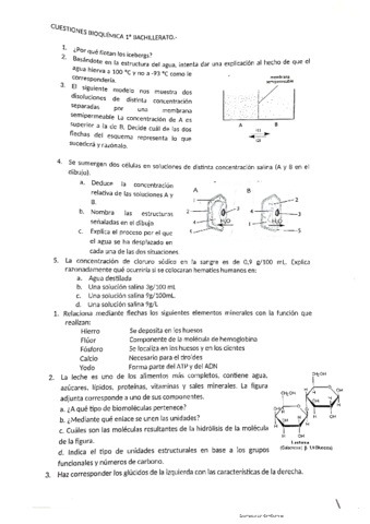 Bioquimica.pdf
