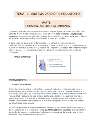 TEMA-12-anatomia.pdf