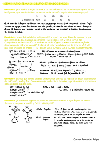 CFFQI1Tema3SeminarioResuelto.pdf