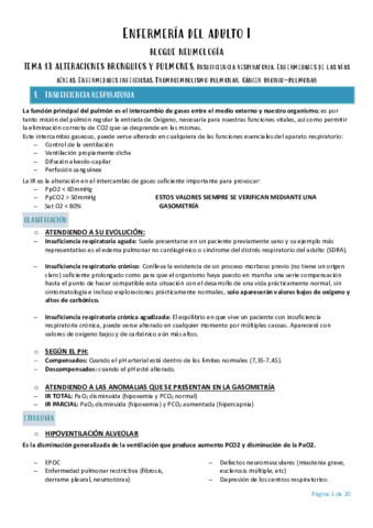 Enfermeria-del-adulto-I-TEMA-13.pdf