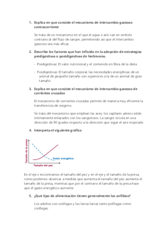 Preguntas-examen16.pdf