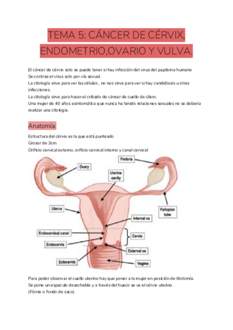 TEMA-5-CANCER-DE-CERVIX-ENDOMETRIOOVARIO-Y-VULVA.pdf