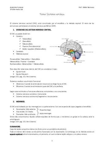 Tema-Sistema-Nervioso-COMPLETO.pdf