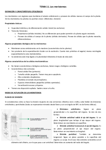TEMA-11.pdf