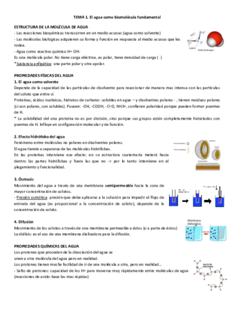 TEMA-1.pdf