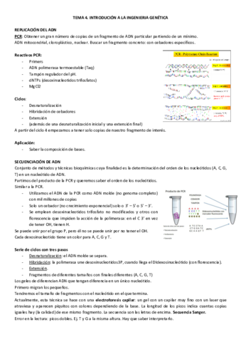 TEMA-4.pdf