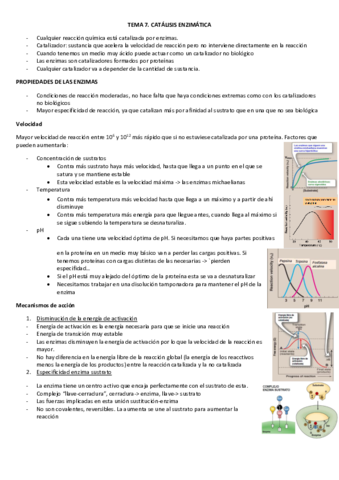 TEMA-7.pdf