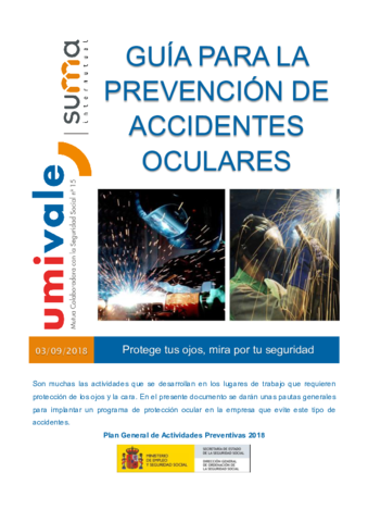 NUEVO-Gua-para-la-prevencin-de-accidentes-oculares.pdf
