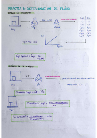 PRACTICA-3.pdf