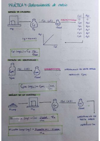 PRACTICA-4.pdf