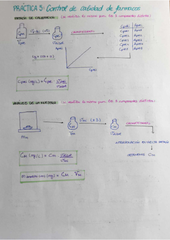 PRACTICA-5.pdf