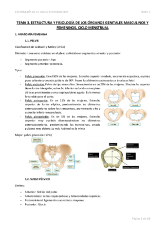 TEMA-3-ESTRUCTURA-Y-FISIOLOGIA-DE-LOS-ORGANOS-GENITALES-MASCULINOS-Y-FEMENINOS.pdf