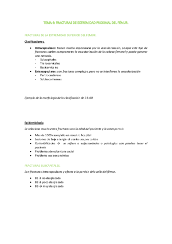 TEMA-6.pdf