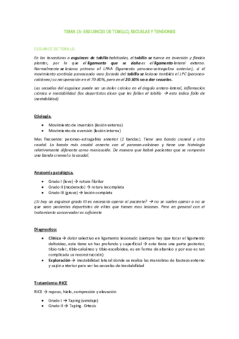 TEMA-15.pdf
