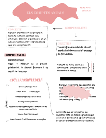 Els-comptes-anuals.pdf