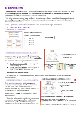 Genetica-t7.pdf