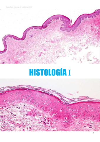 APUNTES-HISTOLOGIA-I.pdf