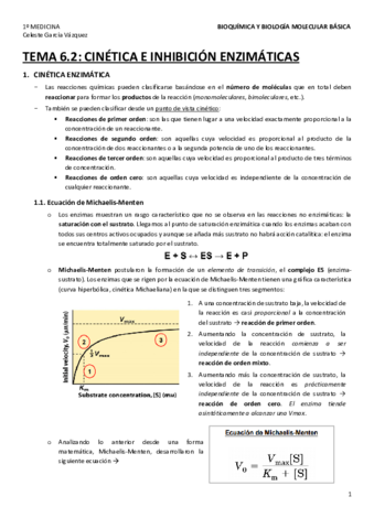 TEMA-6.pdf
