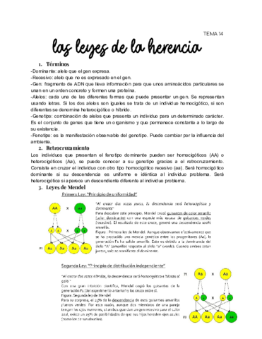 TEMA-14.pdf