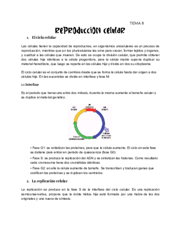 tema-8-.pdf