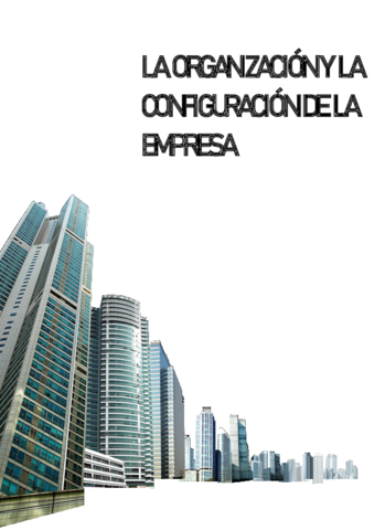 LA-ORGANIZACION-Y-LA-CONFIGURACION-DEL-TRABAJO.pdf