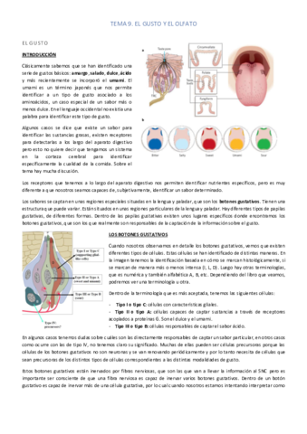 EL-GUSTO-Y-EL-OLFATO.pdf