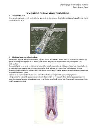 SEMINARIO-5.pdf