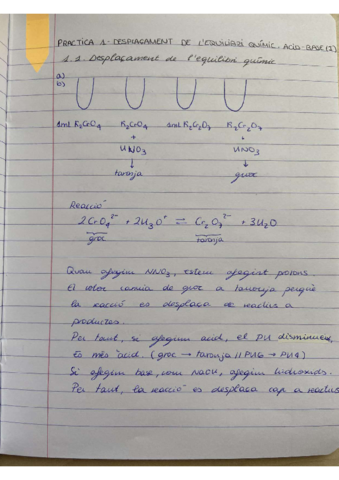 Practiques-Quimica-reaccions-procediment-explicacio.pdf