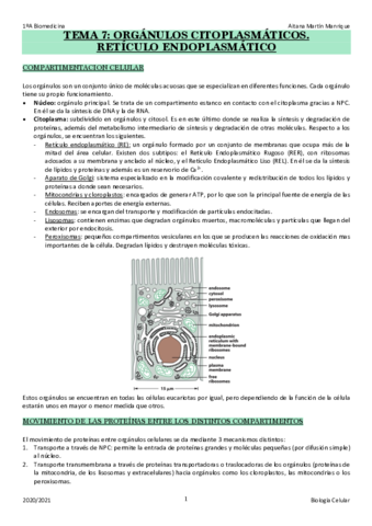 TEMA 7: Organulos y Reticulo