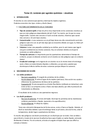 Tema-13.pdf