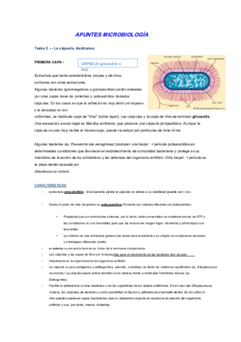 Apuntes-microbiologia-castellano.pdf