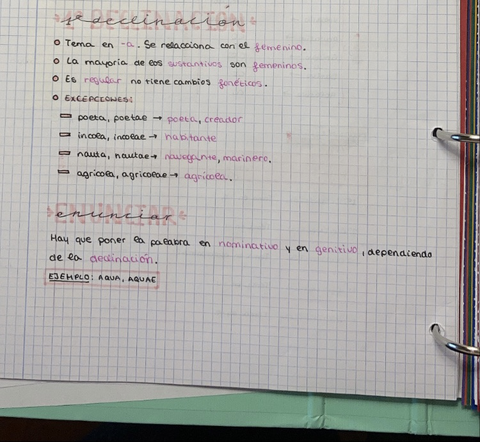 C991AA4F-4257-49B3-B633-9051A9B2A35C.jpg