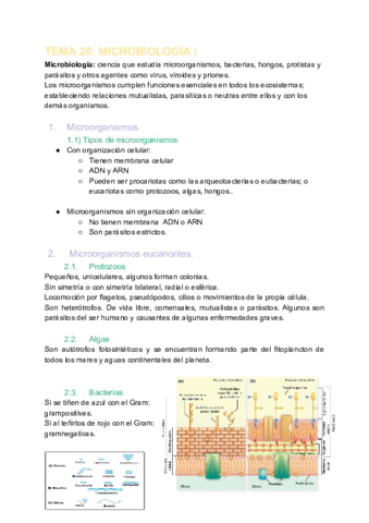 microbiologia.pdf