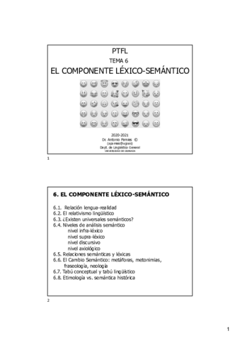 Tema-6-Lexico-semantico.pdf