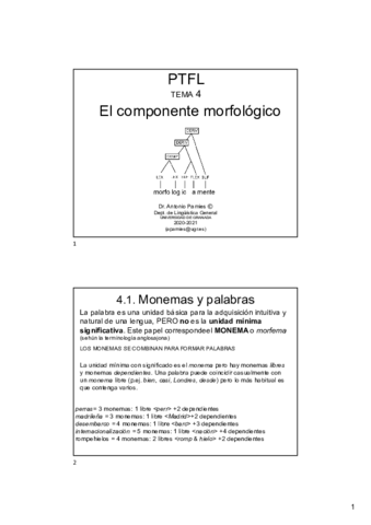 Tema-4-Morfologia.pdf