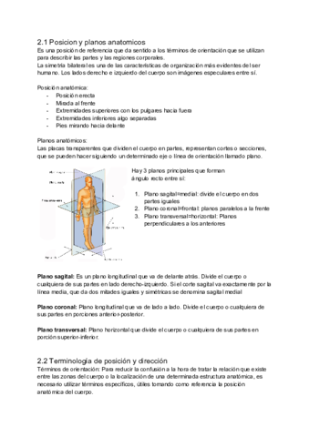 Tema-2-Localizacion-de-las-estructuras-anatomicas.pdf