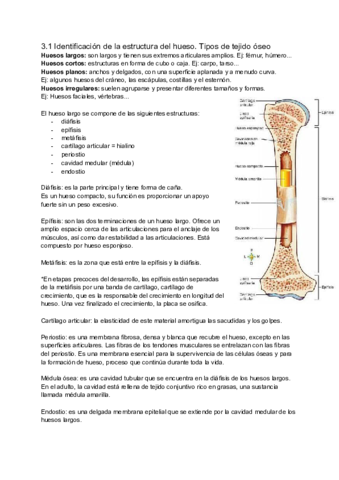 Tema-3-Reconocimiento-de-la-estructura-y-funcionamiento-del-aparato-locomotor.pdf