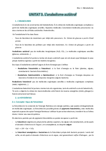 3. L'anabolisme autòtrof