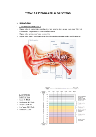 TEMA-17-PATOLOGIA-DEL-OIDO-EXTERNO.pdf