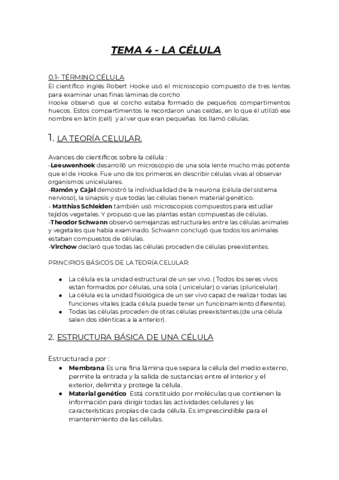 Documento-sin-titulo.pdf