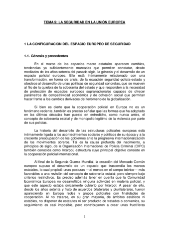 Tema-5-La-Seguridad-en-la-Union-Europea.pdf