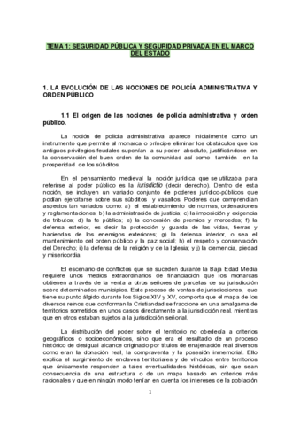 Tema-1-Seguridad-Publica-y-Segurid-ad-privada-en-el-marco-del-Estado.pdf