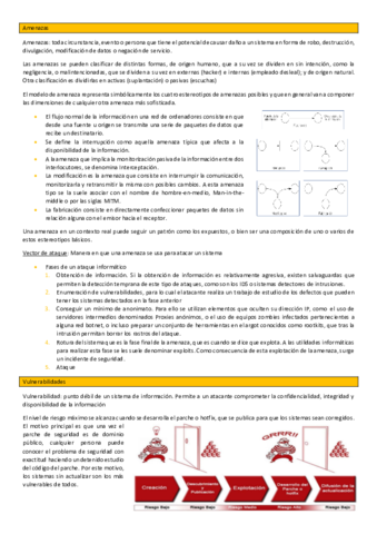 T8-Vulnerabilidades-y-amenazas.pdf