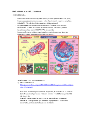 TEMA-3.pdf