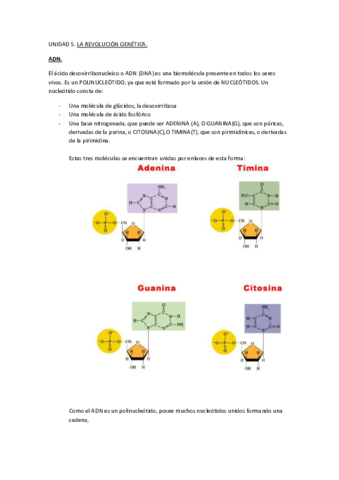 TEMA-5-ADN.pdf