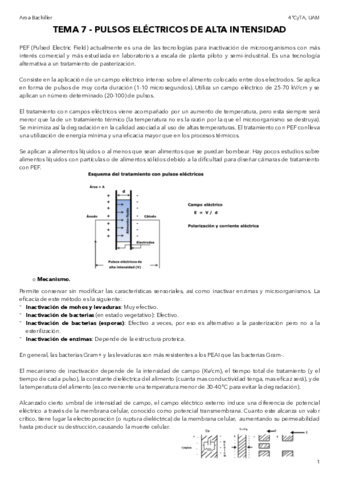 T7-Pulsos-electricos-de-alta-intensidad.pdf