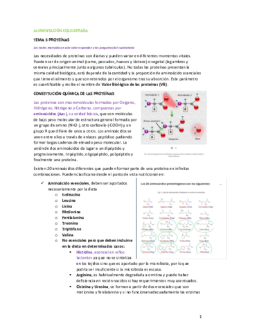 Alimentacion-Equilibrada-T6.pdf