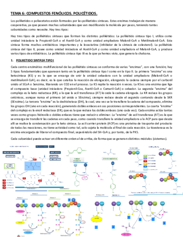 COMPUESTOS-FENOLICOS-POLICETIDOS.pdf