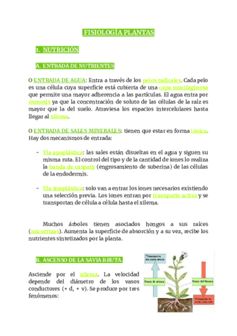 FISIOLOGIA-PLANTAS-FUNGI.pdf